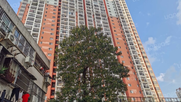 鲁班商贸城外景图