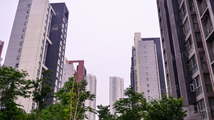 鲁能领秀城A区外景图