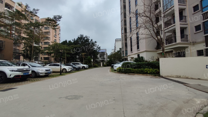 凤桐雅苑外景图