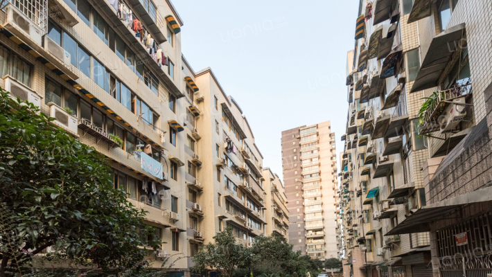 地税五分局外景图