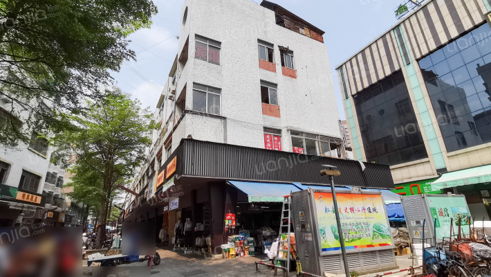 红卫路十六号外景图