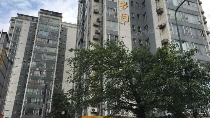 紫荆岁月外景图