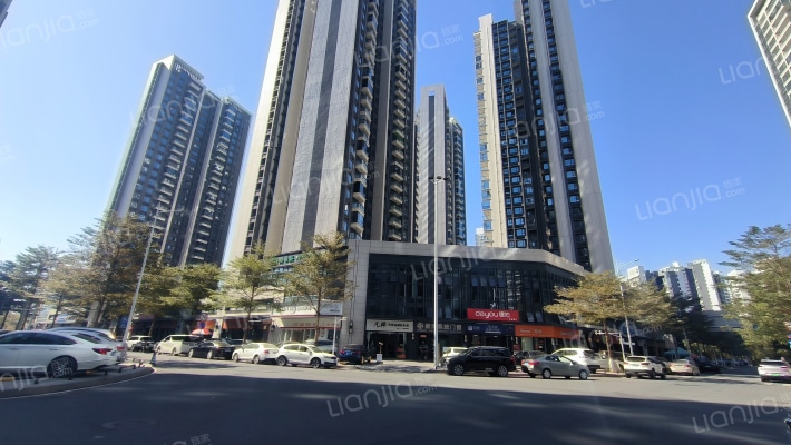 隆生西江花园外景图