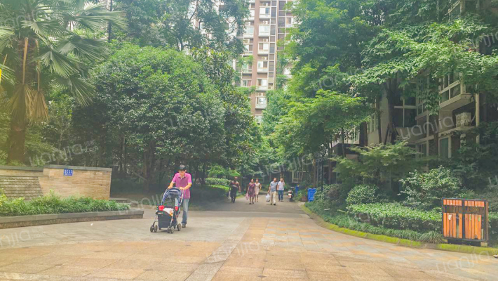 格林君典外景图