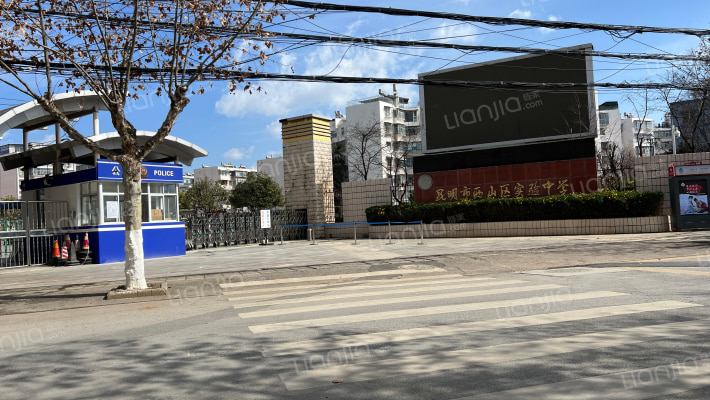 永兴路47号后院外景图