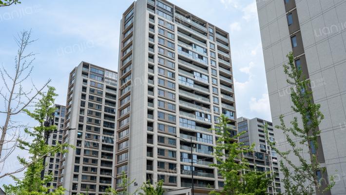 黄酒小镇雲树湾外景图