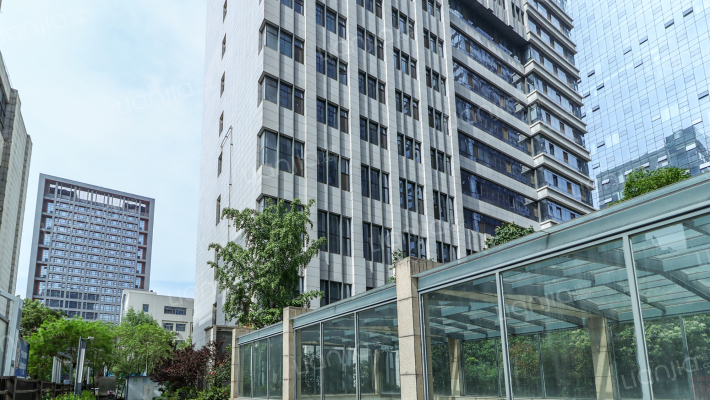 华鼎国际外景图