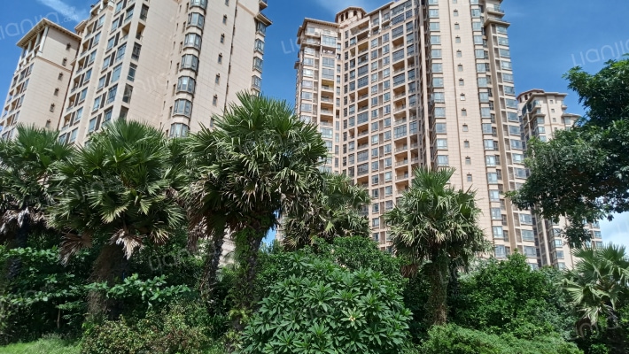 中弘·西岸首府外景图