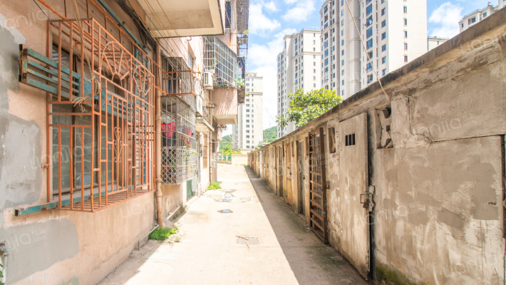 振兴东路156号外景图