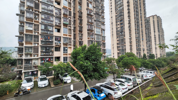 江山假日B组团外景图