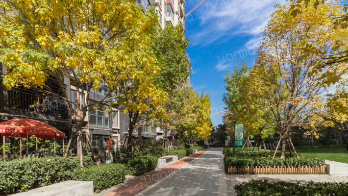 万科东方传奇外景图