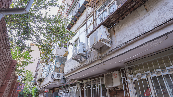 同卫里（和平）外景图