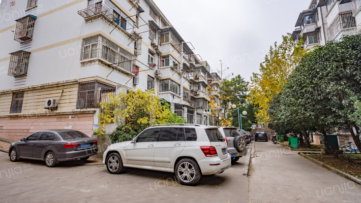 金星新村外景图