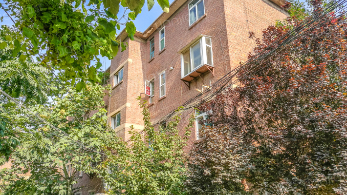 北大槐树51号外景图