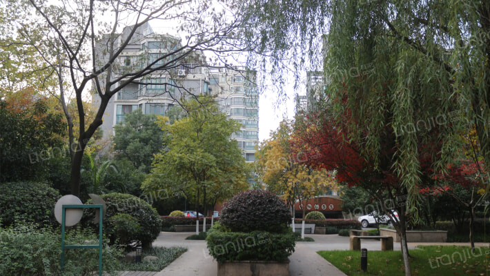 紫金文苑外景图