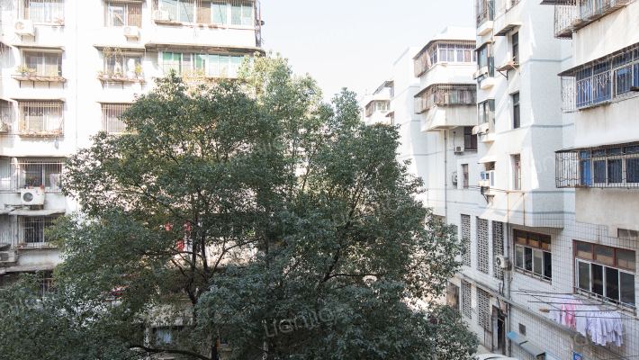 武庆花园外景图