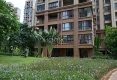 绿地海森林19