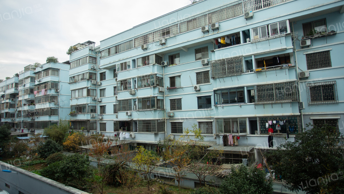 文化新村外景图