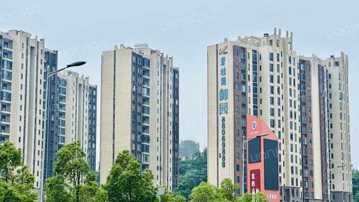 碧桂园培文府御园外景图