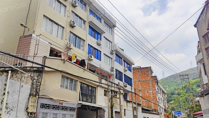 环城西路213弄外景图