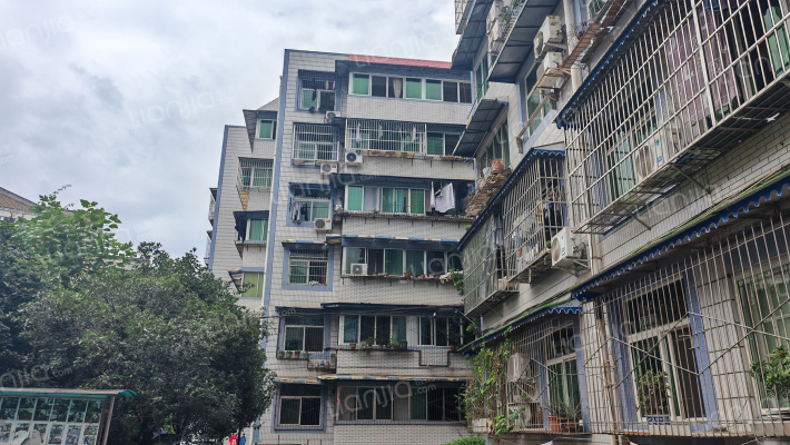 教育局宿舍外景图