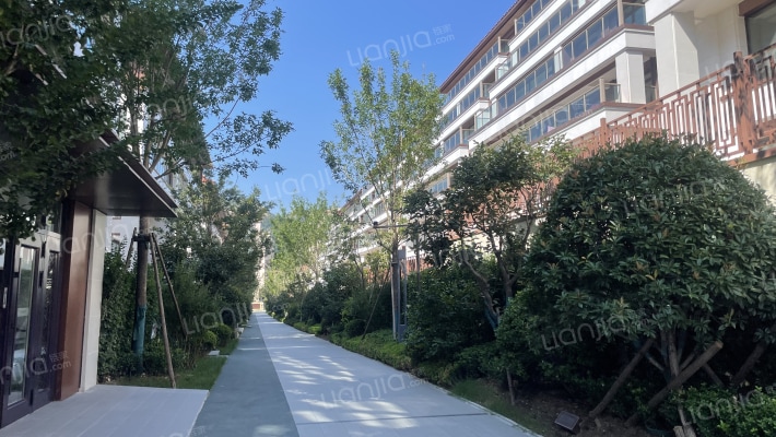 青建金尊府外景图