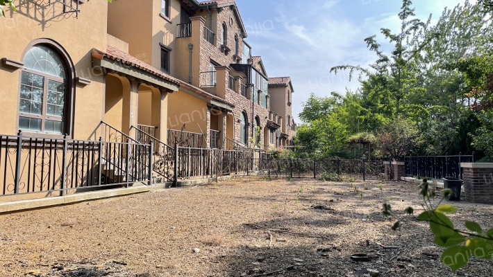 青建橄榄树外景图