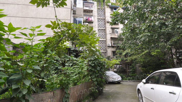 青华路22号外景图