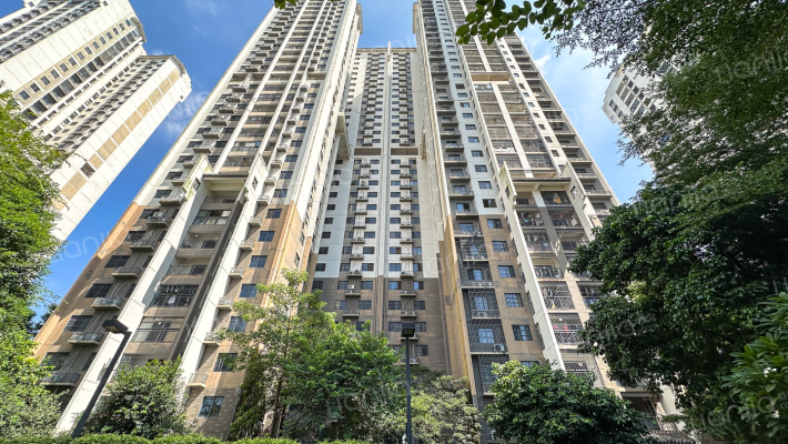 大唐世家一区外景图