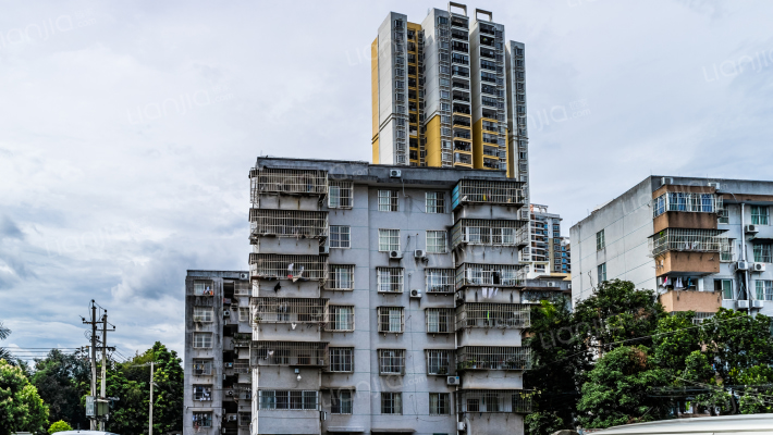 兽医大院外景图