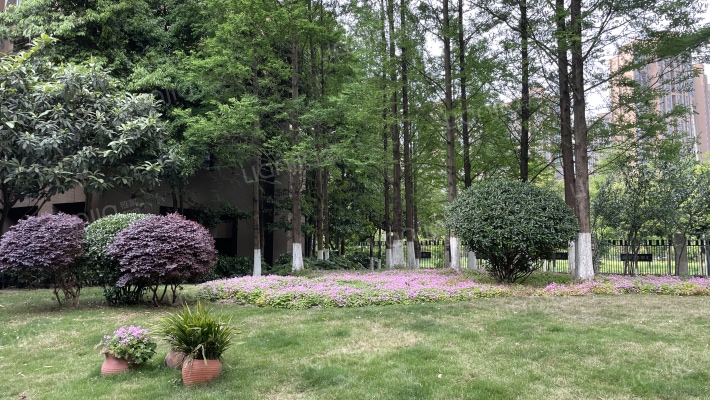 鑫苑鑫都汇外景图