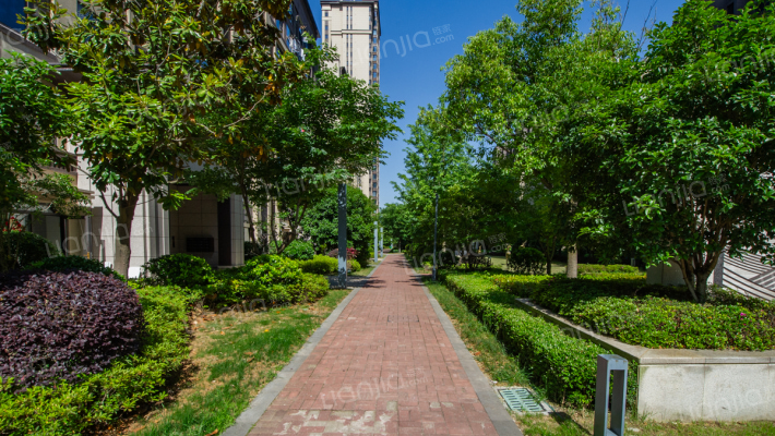 中骏四季阳光外景图