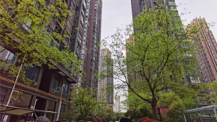 丽丰一品外景图