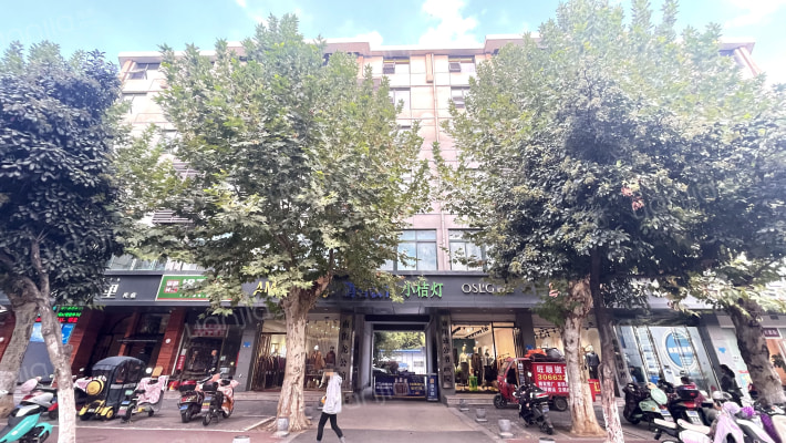 南街龙公馆外景图