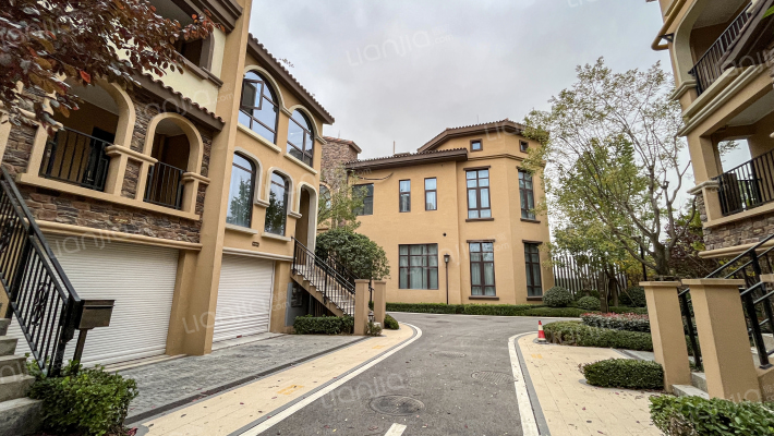 龙湖·天鉅外景图