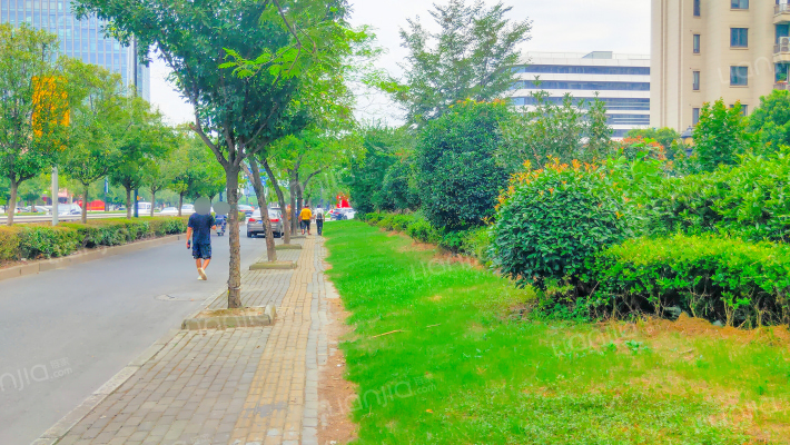 佳源海棠府外景图