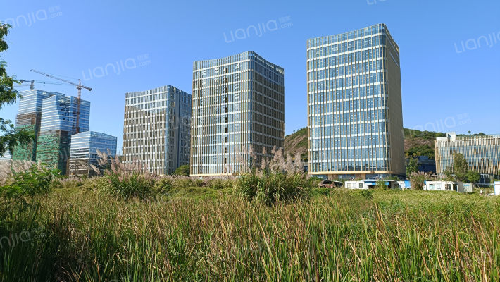 碧桂园澳邻PARK外景图