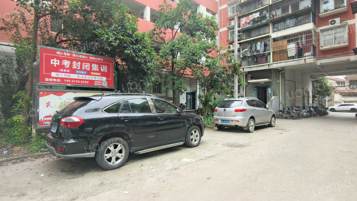 堤东花园外景图