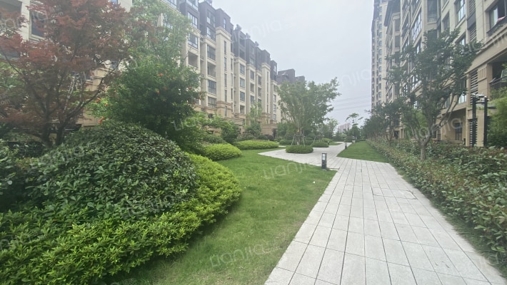 金科集美院外景图