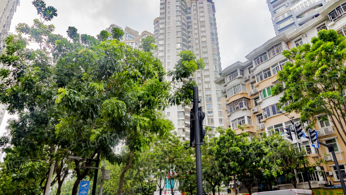 滨江明珠外景图