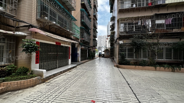 市西巷3号外景图