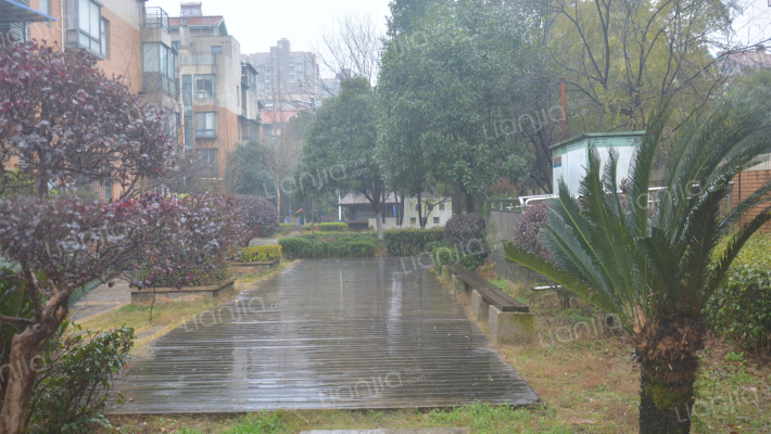 东业早安星城外景图