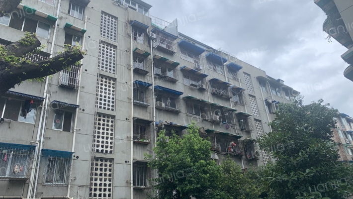 西海北街154号外景图