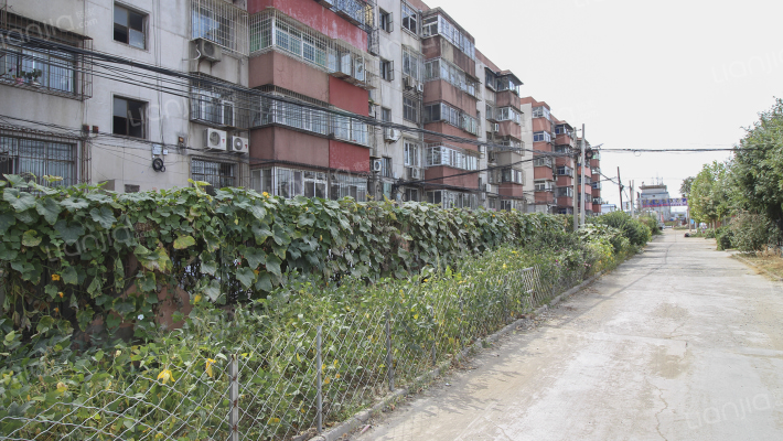 红楼新区外景图