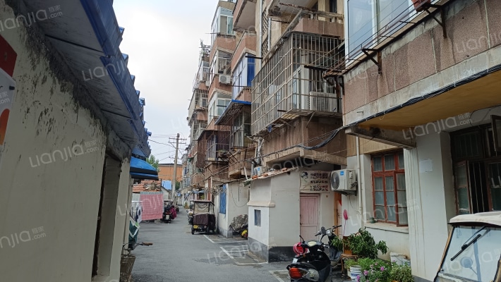 阜阳牛羊加工厂家属院外景图