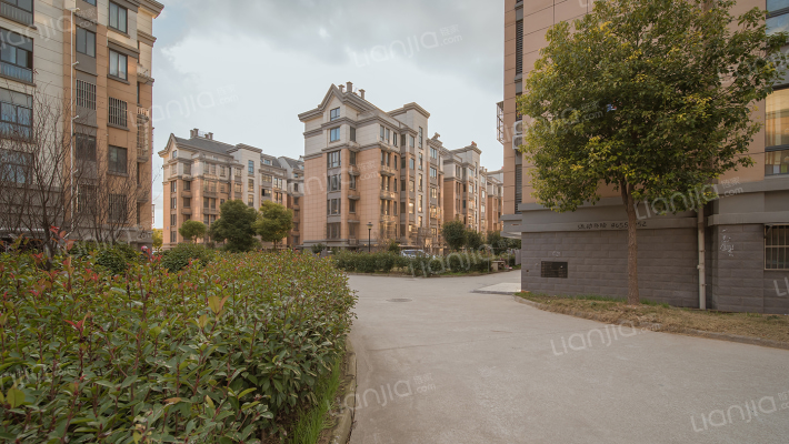 金缘花苑A区外景图