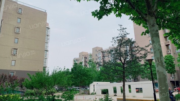 联港嘉园D区外景图