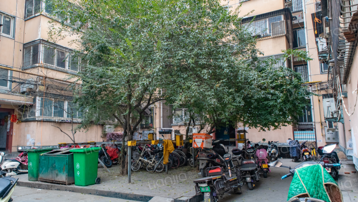 西陈庄后街55号院外景图