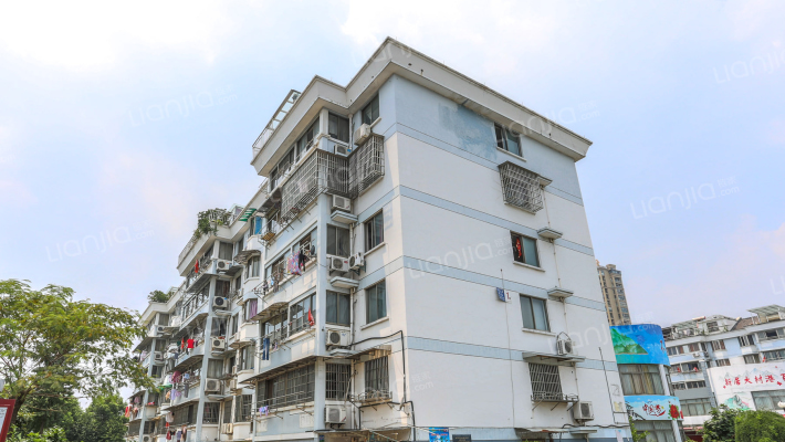 大树江小区外景图