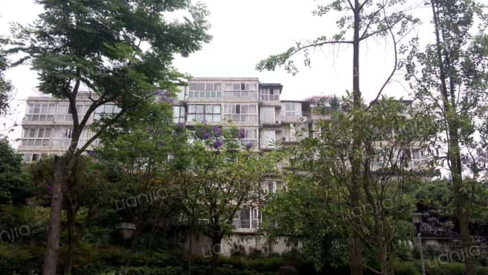 校园春天外景图